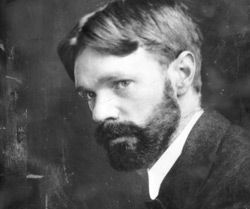 D. H. Lawrence  (1885-1930)