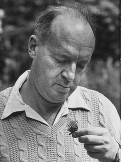 Vladimir Nabokov  (1899-1997)